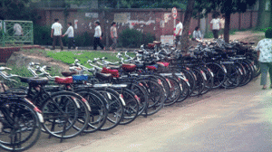 A Row of Bicycles, a Common Means of Transportation